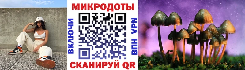 мега   Заозёрный  Псилоцибиновые грибы MAGIC MUSHROOMS 
