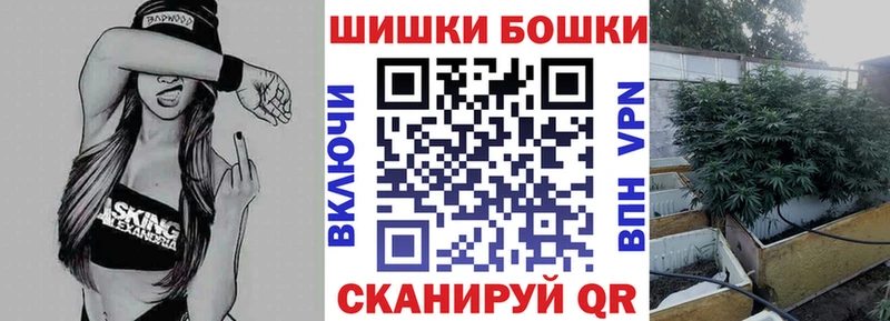 Бошки Шишки Amnesia  продажа наркотиков  Заозёрный 
